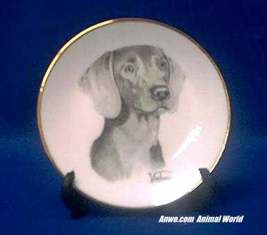 weimaraner plate porcelain