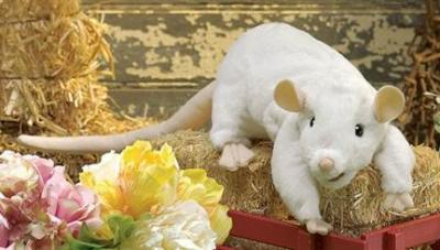 white rat puppet folkmanis