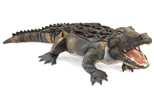 American Alligator Puppet