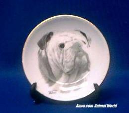 bulldog plate porcelain