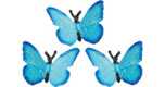 butterfly toy mini good luck butterfly