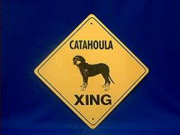 catahoula dog crossing sign