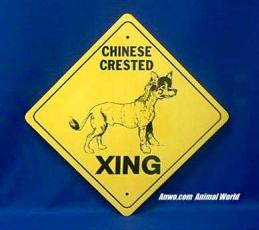 chinese crested crossing sign