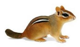 chipmunk toy miniature safari