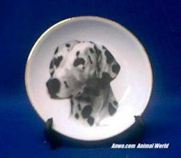 dalmatian plate porcelain