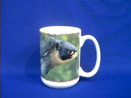 falcon mug
