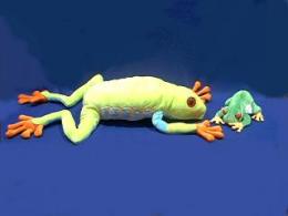 red eyed tree frog plush toy