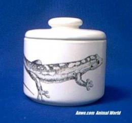 gecko jar porcelain