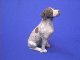 pointer stuffed animal