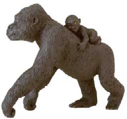 gorilla with baby toy