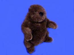 groundhog plush