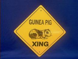 guinea pig crossing sign