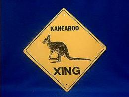 kangaroo crossing sign