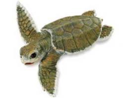 kemps ridley sea turtle baby toy