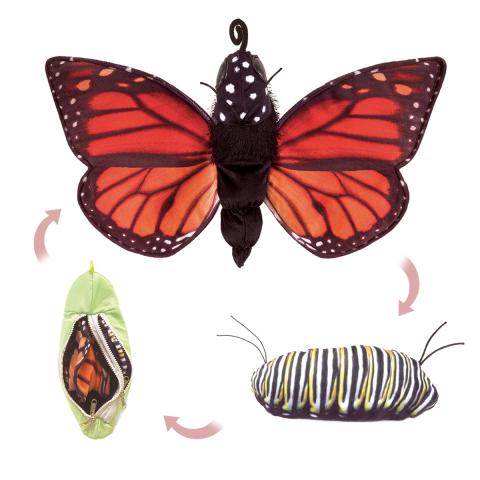 Monarch Butterfly Puppet Life Cycle