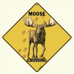 moose crossing sign anwo animal world