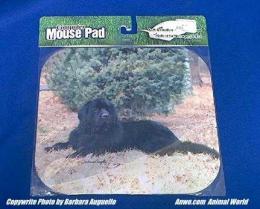 newfoundland mouse pad