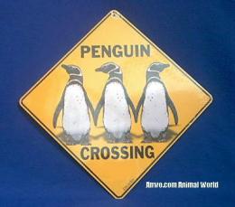 penguin crossing sign 