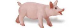 pig toy piglet walking miniature replica