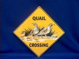 quail crossing sign