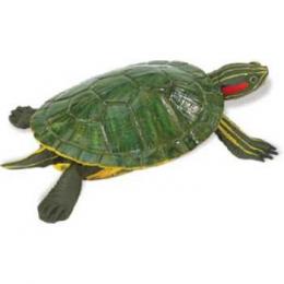 red eared slider turtle toy miniature