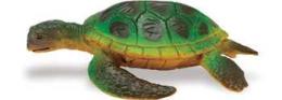 green sea turtle toy 