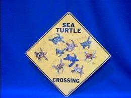 sea turtle crossing sign