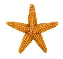 orange starfish toy replica