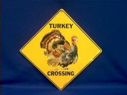 turkey crossing sign