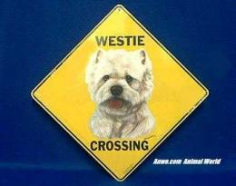 westie crossing sign west highland white terrier