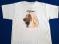 Afghan Hound T Shirt