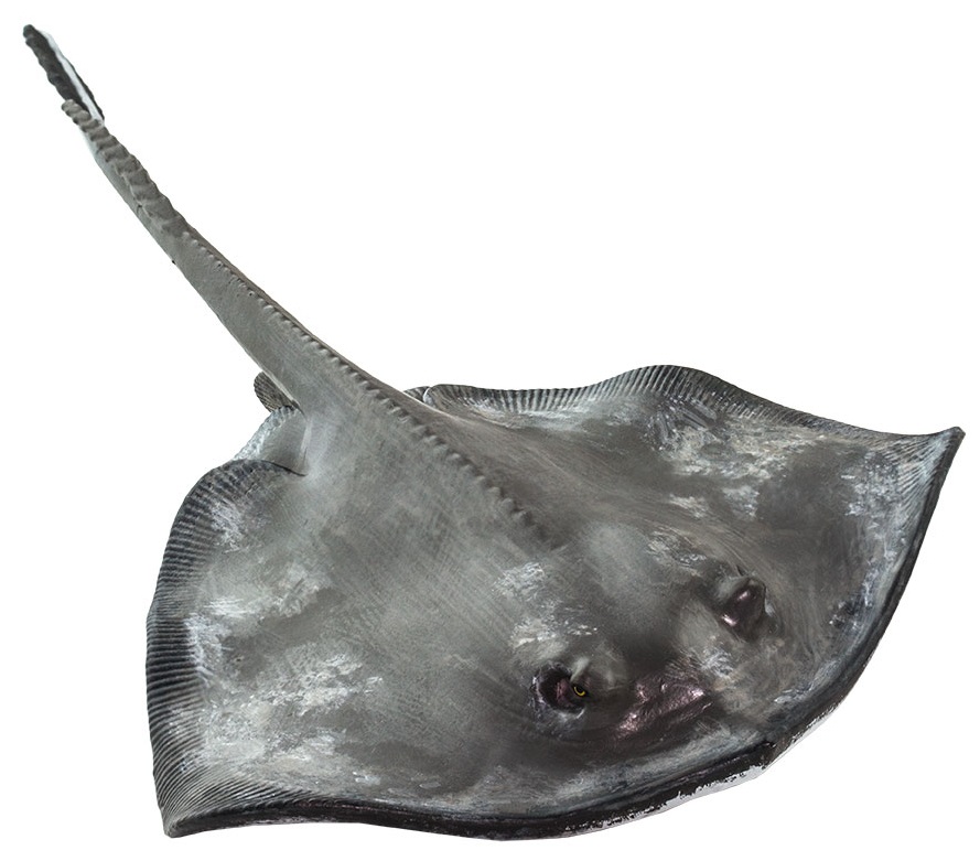 Sting Ray Toy Miniature Replica at Anwo.com Animal World®