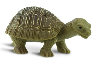 mini turtle toy