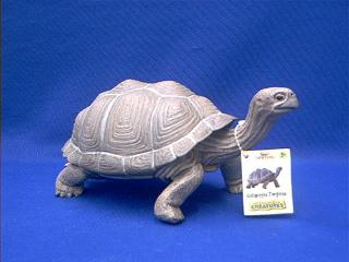 turtle_toy_tortoise