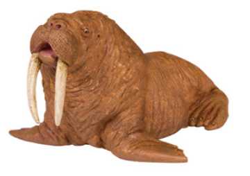 walrus cuddly toy