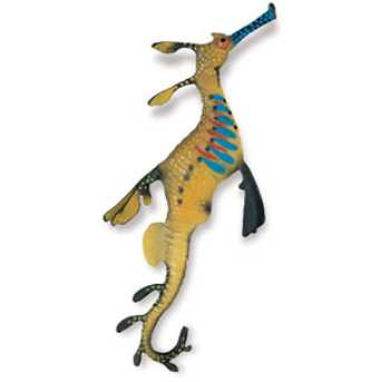 Sea Dragon Toy Weedy Seadragon At Animal World