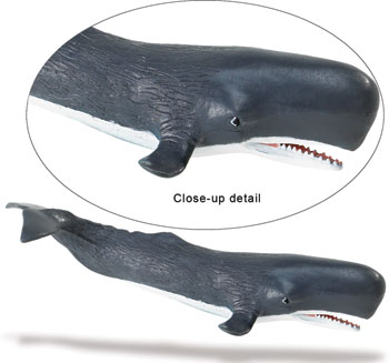 whale toy sperm adult